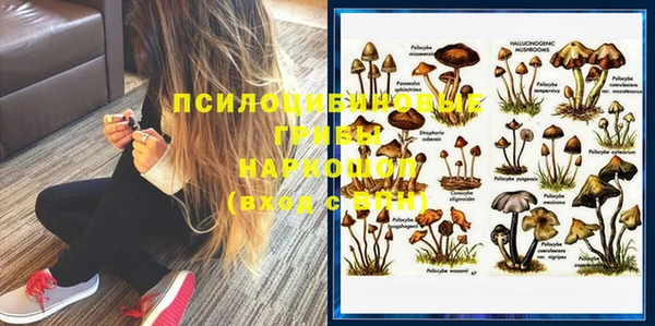 тгк Липки