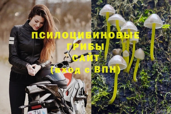 соль курить ск Покровск
