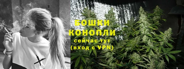 ГАЛЛЮЦИНОГЕННЫЕ ГРИБЫ Лихославль